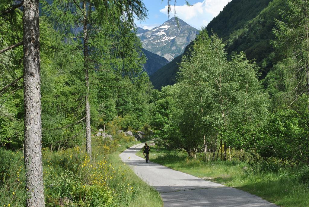 Myverzasca Resort Casa Rossa Brione  المظهر الخارجي الصورة