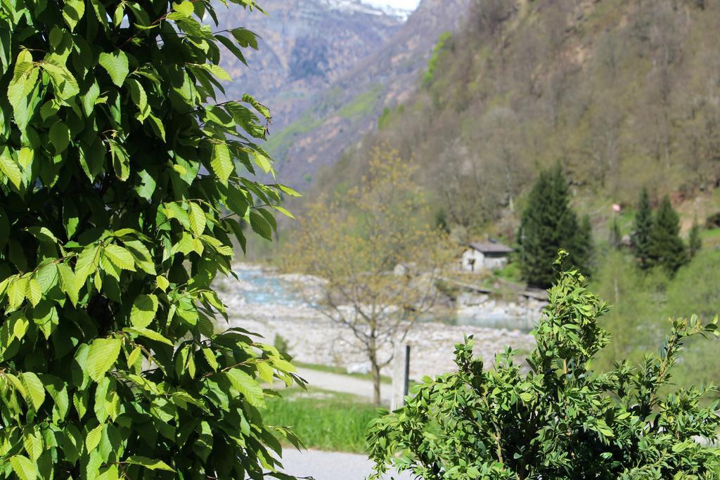 Myverzasca Resort Casa Rossa Brione  المظهر الخارجي الصورة